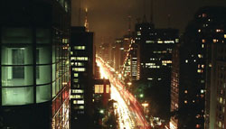 Avenida Paulista_Pedro Angelini
