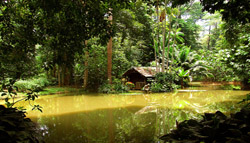 Botanischer Garten_Klaus