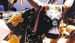 Bumba-meu-boi