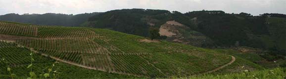emmigranten und natur_süden