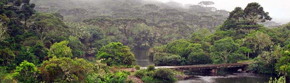 emmigranten und natur_süden1