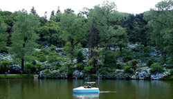 Gramado