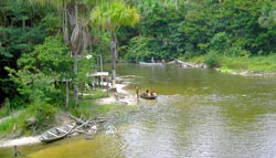 Ilha Bananal