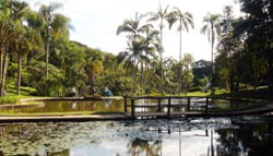 jardim_botanico