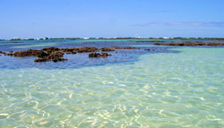 Maragogi1