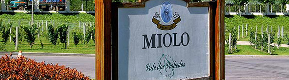 miolo1