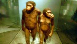 Museu de História Natural