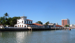 Natal_Patrick