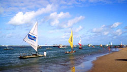 Porto_de_galinhas_Sumário