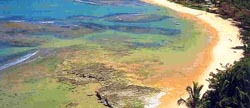 praia de curuípe