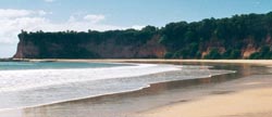 praia do curral