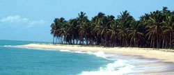 praia do gunga_baixaki