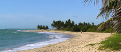 praia garca torta
