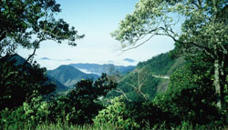 Serra_da_Bocaina